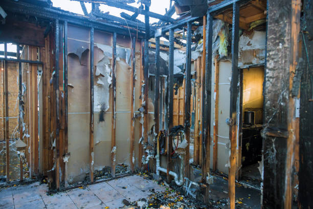 Professional Smoke Damage Removal technician working in Lumberton, TX